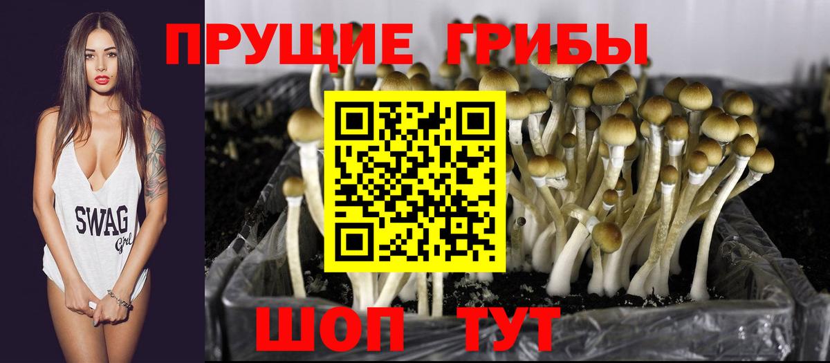 Псилоцибиновые грибы Magic Shrooms  цены наркотик  Партизанск  Вход с VPN 